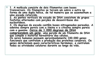  1. A molécula consiste de dois filamentos com bases
transversais. Os filamentos se torcem um sobre o outro na
forma de uma dupla hélice, de tal maneira que se assemelham a
uma escada retorcida.
2. As pontes verticais da escada de DNA consistem de grupos
fosfatos alternados com porções de desoxirribose dos
nucleotídeos.
3. Os degraus da escada contêm bases nitrogenadas pareadas. A
adenina sempre pareia com a timina e a citosina sempre pareia
com a guanina. Cerca de 1.000 degraus de DNA
compreendem um gene, uma porção de um filamento de DNA
que compõe o material hereditário das células.
Os seres humanos possuem aproximadamente 100.000 genes
funcionais que controlam a produção das proteínas corporais. Os
genes determinam quais características herdamos, e controlam
todas as atividades celulares durante ao longo da vida.
 