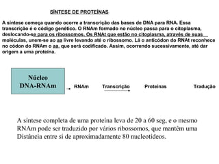 SÍNTESE DE PROTEÍNAS:
A síntese começa quando ocorre a transcrição das bases de DNA para RNA. Essa
transcrição é o código genético. O RNAm formado no núcleo passa para o citoplasma,
deslocando-se para os ribossomos. Os RNAt que estão no citoplasma, através de suas
moléculas, unem-se ao aa livre levando até o ribossomo. Lá o anticódon do RNAt reconhece
no códon do RNAm o aa, que será codificado. Assim, ocorrendo sucessivamente, até dar
origem a uma proteína.
Núcleo
DNA RNAm RNAm Transcrição Proteínas Tradução
Núcleo
DNA-RNAm
A síntese completa de uma proteína leva de 20 a 60 seg, e o mesmo
RNAm pode ser traduzido por vários ribossomos, que mantêm uma
Distância entre si de aproximadamente 80 nucleotídeos.
 
