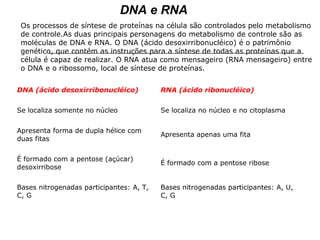 Os processos de síntese de proteínas na célula são controlados pelo metabolismo
de controle.As duas principais personagens do metabolismo de controle são as
moléculas de DNA e RNA. O DNA (ácido desoxirribonucléico) é o patrimônio
genético, que contém as instruções para a síntese de todas as proteínas que a
célula é capaz de realizar. O RNA atua como mensageiro (RNA mensageiro) entre
o DNA e o ribossomo, local de síntese de proteínas.
DNA (ácido desoxirribonucléico) RNA (ácido ribonucléico)
Se localiza somente no núcleo Se localiza no núcleo e no citoplasma
Apresenta forma de dupla hélice com
duas fitas
Apresenta apenas uma fita
É formado com a pentose (açúcar)
desoxirribose
É formado com a pentose ribose
Bases nitrogenadas participantes: A, T,
C, G
Bases nitrogenadas participantes: A, U,
C, G
DNA e RNA
 