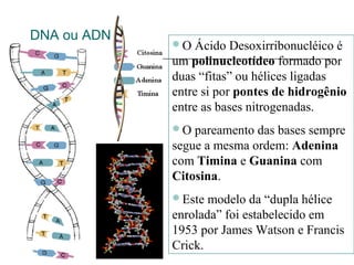 DNA ou ADN
O Ácido Desoxirribonucléico é
um polinucleotídeo formado por
duas “fitas” ou hélices ligadas
entre si por pontes de hidrogênio
entre as bases nitrogenadas.
O pareamento das bases sempre
segue a mesma ordem: Adenina
com Timina e Guanina com
Citosina.
Este modelo da “dupla hélice
enrolada” foi estabelecido em
1953 por James Watson e Francis
Crick.
 