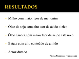 • Milho com maior teor de metionina
• Óleo de soja com alto teor de ácido oleico
• Óleo canola com maior teor de ácido esteárico
• Batata com alto conteúdo de amido
• Arroz durado
Ácidos Nucleicos - Transgênico
 