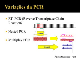  RT- PCR (Reverse Transcriptase Chain
Reaction)
 Nested PCR
 Multiplex PCR
Ácidos Nucleicos - PCR
 