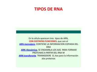 TIPOS DE RNA
En la célula aparecen tres tipos de ARN,
CON DISTINTAS FUNCIONES, que son el
ARN mensajero, CONTIENE LA INFORMACION COPIADA DEL
DNA
ARN ribosómico, SE ENSAMBLA LOS AAS PARA FORMAR
PROTEINAS A PARTIR DEL RNA M
ARN transferente TRANNSDIERE EL Aas para la información
alas proteínas
 