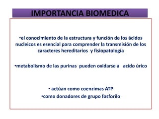 •el conocimiento de la estructura y función de los ácidos
nucleicos es esencial para comprender la transmisión de los
caracteres hereditarios y fisiopatología
•metabolismo de las purinas pueden oxidarse a acido úrico
• actúan como coenzimas ATP
•como donadores de grupo fosforilo
IMPORTANCIA BIOMEDICA
 