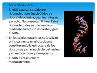 Acidos nucleicos | PPTX