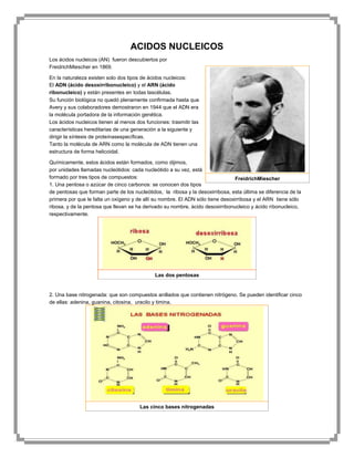 ACIDOS NUCLEICOS
Los ácidos nucleicos (AN) fueron descubiertos por
FreidrichMiescher en 1869.
En la naturaleza existen solo dos tipos de ácidos nucleicos:
El ADN (ácido desoxirribonucleico) y el ARN (ácido
ribonucleico) y están presentes en todas lascélulas.
Su función biológica no quedó plenamente confirmada hasta que
Avery y sus colaboradores demostraron en 1944 que el ADN era
la molécula portadora de la información genética.
Los ácidos nucleicos tienen al menos dos funciones: trasmitir las
características hereditarias de una generación a la siguiente y
dirigir la síntesis de proteínasespecíficas.
Tanto la molécula de ARN como la molécula de ADN tienen una
estructura de forma helicoidal.
Químicamente, estos ácidos están formados, como dijimos,
por unidades llamadas nucleótidos: cada nucleótido a su vez, está
formado por tres tipos de compuestos:
FreidrichMiescher
1. Una pentosa o azúcar de cinco carbonos: se conocen dos tipos
de pentosas que forman parte de los nucleótidos, la ribosa y la desoxirribosa, esta última se diferencia de la
primera por que le falta un oxígeno y de allí su nombre. El ADN sólo tiene desoxirribosa y el ARN tiene sólo
ribosa, y de la pentosa que llevan se ha derivado su nombre, ácido desoxirribonucleico y ácido ribonucleico,
respectivamente.

Las dos pentosas

2. Una base nitrogenada: que son compuestos anillados que contienen nitrógeno. Se pueden identificar cinco
de ellas: adenina, guanina, citosina, uracilo y timina.

Las cinco bases nitrogenadas

 
