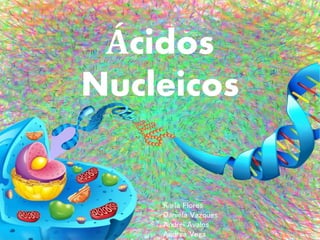 Ácidos
Nucleicos
Karla Flores
Daniela Vazques
Andrei Avalos
Andrea Vega
 