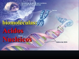 biomoléculas:biomoléculas:
AcidosAcidos
NucleicosNucleicos
 