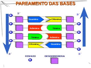 PAREAMENTO DAS BASESPAREAMENTO DAS BASES
 