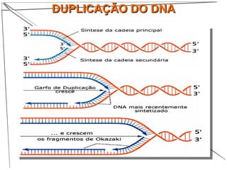 DUPLICAÇÃO DO DNADUPLICAÇÃO DO DNA
 