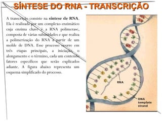SÍNTESE DO RNA - TRANSCRIÇÃOSÍNTESE DO RNA - TRANSCRIÇÃO
A transcrição consiste na síntese de RNA.
Ela é realizada por um complexo enzimático
cuja enzima chave é a RNA polimerase,
composta de várias subunidades e que realiza
a polimerização do RNA a partir de um
molde de DNA. Esse processo ocorre em
três etapas principais, a iniciação, o
alongamento e o término, cada um contendo
fatores específicos que serão explicados
adiante. A figura abaixo representa um
esquema simplificado do processo.
 