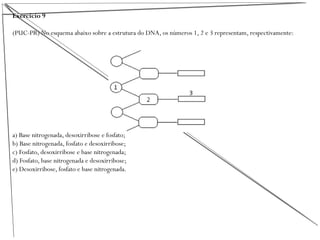 Exercício 9
(PUC-PR) No esquema abaixo sobre a estrutura do DNA, os números 1, 2 e 3 representam, respectivamente:
a) Base nitrogenada, desoxirribose e fosfato;
b) Base nitrogenada, fosfato e desoxirribose;
c) Fosfato, desoxirribose e base nitrogenada;
d) Fosfato, base nitrogenada e desoxirribose;
e) Desoxirribose, fosfato e base nitrogenada.
 