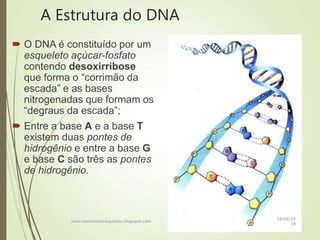 A Estrutura do DNA
 O DNA é constituído por um
esqueleto açúcar-fosfato
contendo desoxirribose
que forma o “corrimão da
escada” e as bases
nitrogenadas que formam os
“degraus da escada”;
 Entre a base A e a base T
existem duas pontes de
hidrogênio e entre a base G
e base C são três as pontes
de hidrogênio.
www.biomaiskatiaqueiroz.blogspot.com
18/08/20
19
 