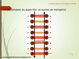 princípios básicos de biologia molecular
A estabilidade da dupla fita: as pontes de hidrogênio
P
P
P
P
P
P
P
P
P
P
P
P
P
P
PP
-
-
-
-
-
-
-
-
-
-
-
-
-
-
-
-
www.biomaiskatiaqueiroz.blogspot.com
18/08/20
19
 
