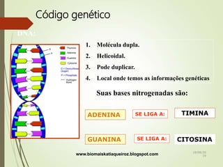 Código genético
DNA:
1. Molécula dupla.
2. Helicoidal.
3. Pode duplicar.
4. Local onde temos as informações genéticas
Suas bases nitrogenadas são:
ADENINA
GUANINA CITOSINA
TIMINASE LIGA A:
SE LIGA A:
www.biomaiskatiaqueiroz.blogspot.com 18/08/20
19
 