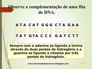 Observe a complementação de uma fita
de DNA.
A T A C A T G G G C T A G A A
TT T T T TGG C C CC AAA
Sempre com a adenina se ligando a timina
através de duas pontes de hidrogênio e a
guanina se ligando a citosina por três
pontes de hidrogênio.
www.biomaiskatiaqueiroz.blogspot.com
18/08/20
19
 