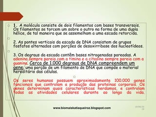  1. A molécula consiste de dois filamentos com bases transversais.
Os filamentos se torcem um sobre o outro na forma de uma dupla
hélice, de tal maneira que se assemelham a uma escada retorcida.

2. As pontes verticais da escada de DNA consistem de grupos
fosfatos alternados com porções de desoxirribose dos nucleotídeos.

3. Os degraus da escada contêm bases nitrogenadas pareadas. A
adenina sempre pareia com a timina e a citosina sempre pareia com a
guanina. Cerca de 1.000 degraus de DNA compreendem um
gene, uma porção de um filamento de DNA que compõe o material
hereditário das células.

Os seres humanos possuem aproximadamente 100.000 genes
funcionais que controlam a produção das proteínas corporais. Os
genes determinam quais características herdamos, e controlam
todas as atividades celulares durante ao longo da vida.
www.biomaiskatiaqueiroz.blogspot.com 18/08/20
19
 