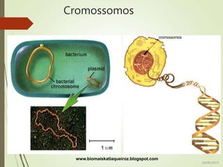 Cromossomos
www.biomaiskatiaqueiroz.blogspot.com
18/08/2019
 