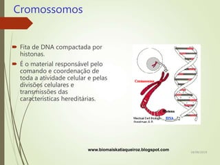 Cromossomos
 Fita de DNA compactada por
histonas.
 É o material responsável pelo
comando e coordenação de
toda a atividade celular e pelas
divisões celulares e
transmissões das
características hereditárias.
www.biomaiskatiaqueiroz.blogspot.com 18/08/2019
 