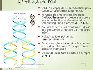 A Replicação do DNA
 O DNA é capaz de se autoduplicar para
conservar a informação genética.
 Por ação de uma enzima chamada
DNA-polimerase a molécula se abre e
novos nucleotídeos são acrescidos,
sempre seguindo a ordem A-T e G-C.
 Ao final se tem duas “moléculas-filhas”
que conservam a metade da “molécula-
mãe”.
 A duplicação é, portanto,
semiconservativa.
 Por convenção, a extremidade que tem
o fosfato é chamada 5’ e a que tem o
açucar é chamada 3’.
 O sentido de leitura e síntese é sempre
5’  3’.
www.biomaiskatiaqueiroz.blogspot.com
18/08/20
19
 