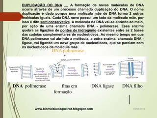 DUPLICAÇÃO DO DNA __ A formação de novas moléculas de DNA
ocorre através de um processo chamado duplicação do DNA. O nome
duplicação é dado porque uma molécula mãe de DNA forma 2 outras
moléculas iguais. Cada DNA novo possui um lado da molécula mãe, por
isso é dito semiconservativa. A molécula da DNA vai-se abrindo ao meio,
por ação de uma enzima chamada DNA - polimerase. Essa enzima
quebra as ligações de pontes de hidrogênio existentes entre as 2 bases
das cadeias complementares de nucleotídeos. Ao mesmo tempo em que
DNA polimerase vai abrindo a molécula, a outra enzima, chamada DNA -
ligase, vai ligando um novo grupo de nucleotídeos, que se pareiam com
os nucleotídeos da molécula mãe.
EX: - A = T - fita - A - - T - A - T - A- T-
- C = G - molde - C - - G - C - G C- G-
- T = A - - T - - A - T - A T - A-
DNA polimerase fitas em DNA ligase DNA filho
formação
DNA polimerase
www.biomaiskatiaqueiroz.blogspot.com 18/08/2019
 