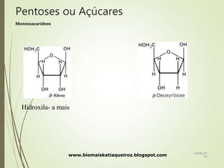 Pentoses ou Açúcares
Monossacarídeos
Hidroxila- a mais
www.biomaiskatiaqueiroz.blogspot.com
18/08/20
19
 