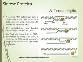 Síntese Protéica
 A enzima RNA-polimerase abre a
dupla hélice do DNA e inicia a
produção de uma molécula de
RNAm, no sentido 5’  3’.
 Os nucleotídeos são ligados
respeitando a ordem A-U, G-C.
 Ao final da transcrição a RNA-
polimerase se desliga do DNA, a
molécula de RNAm está formada e
segue para o citoplasma onde será
traduzida.
A Transcrição
www.biomaiskatiaqueiroz.blogspot.com 18/08/20
19
 