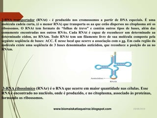 2-RNA transportador (RNAt) - é produzido nos cromossomos a partir de DNA especiais. É uma
molécula cadeia curta, (é o menor RNA) que transporta os aa que estão dispersos no citoplasma até os
ribossomos. O RNAt tem formato de “folhas de trevo” e contém outros tipos de bases, além das
comumente encontradas nos outros RNAs. Cada RNAt é capaz de reconhecer um determinado aa
determinado códon, no RNAm. Todo RNAt tem um filamento livre de sua molécula composta pela
seguinte seqüência de bases: ACC. É nesse local que ocorre a associação com o aa. Em cada região da
molécula existe uma seqüência de 3 bases denominadas anticódon, que reconhece a posição do aa no
RNAm.
3-RNA ribossômico (RNAr) é o RNA que ocorre em maior quantidade nas células. Esse
RNA é encontrado no nucléolo, onde é produzido, e no citoplasma, associado às proteínas,
formando os ribossomos.
www.biomaiskatiaqueiroz.blogspot.com 18/08/2019
 