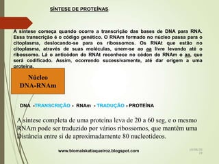 SÍNTESE DE PROTEÍNAS:
A síntese começa quando ocorre a transcrição das bases de DNA para RNA.
Essa transcrição é o código genético. O RNAm formado no núcleo passa para o
citoplasma, deslocando-se para os ribossomos. Os RNAt que estão no
citoplasma, através de suas moléculas, unem-se ao aa livre levando até o
ribossomo. Lá o anticódon do RNAt reconhece no códon do RNAm o aa, que
será codificado. Assim, ocorrendo sucessivamente, até dar origem a uma
proteína.
Núcleo
DNA -TRANSCRIÇÃO - RNAm - TRADUÇÃO - PROTEÍNA
Núcleo
DNA-RNAm
A síntese completa de uma proteína leva de 20 a 60 seg, e o mesmo
RNAm pode ser traduzido por vários ribossomos, que mantêm uma
Distância entre si de aproximadamente 80 nucleotídeos.
www.biomaiskatiaqueiroz.blogspot.com 18/08/20
19
 