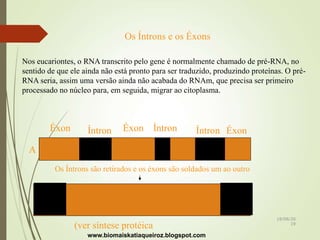 Os Íntrons e os Éxons
Nos eucariontes, o RNA transcrito pelo gene é normalmente chamado de pré-RNA, no
sentido de que ele ainda não está pronto para ser traduzido, produzindo proteínas. O pré-
RNA seria, assim uma versão ainda não acabada do RNAm, que precisa ser primeiro
processado no núcleo para, em seguida, migrar ao citoplasma.
A
Éxon Íntron Éxon ÉxonÍntron Íntron
Os Íntrons são retirados e os éxons são soldados um ao outro
(ver síntese protéica
www.biomaiskatiaqueiroz.blogspot.com
18/08/20
19
 