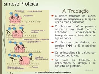 Síntese Protéica
 O RNAm transcrito no núcleo
chega ao citoplasma e se liga a
um ou mais ribossomos.
 O ribossomo “lê” o primeiro
códon e um RNAt com o
anticódon correspondente
transporta um aminoácido e se
liga ao códon.
 O ribossomo se desloca, no
sentido 5’3’ e lê o próximo
códon.
 Os aminoácidos são unidos por
ligações peptídicas.
 Ao final da tradução o
polipeptídeo se desliga e se
constituí na proteína.
A Tradução
www.biomaiskatiaqueiroz.blogspot.com
18/08/2019
 