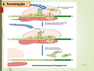 4. Terminação
www.biomaiskatiaqueiroz.blogspot.com 18/08/20
19
 