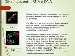 Diferenças entre RNA e DNA
O RNA é uma molécula intermediária na síntese de
proteínas, ela faz a intermediação entre o DNA e
as proteínas.
Ele é formado por uma cadeia de ribonucleotídeos,
que, por sua vez, são formados por um grupo
fosfato, um açucar (ribose), e uma base
nitrogenada (veja abaixo).
As principais diferenças entre o RNA e o DNA são
sutis, mas fazem com que o último seja mais
estável do que o primeiro. O RNA é formado por
uma fita simples, o açúcar de seu esqueleto é a
ribose e uma de suas bases pirimídicas (de anel
simples) é diferente da do DNA (uracila ao invés de
timina), além disso o açucar do RNA é a ribose
invés da desoxirribose do DNA.
DNA
RNA
www.biomaiskatiaqueiroz.blogspot.com
18/08/2019
 