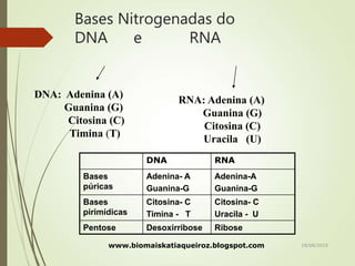 DNA: Adenina (A)
Guanina (G)
Citosina (C)
Timina (T)
RNA: Adenina (A)
Guanina (G)
Citosina (C)
Uracila (U)
Bases Nitrogenadas do
DNA e RNA
DNA RNA
Bases
púricas
Adenina- A
Guanina-G
Adenina-A
Guanina-G
Bases
pirimídicas
Citosina- C
Timina - T
Citosina- C
Uracila - U
Pentose Desoxirribose Ribose
www.biomaiskatiaqueiroz.blogspot.com 18/08/2019
 