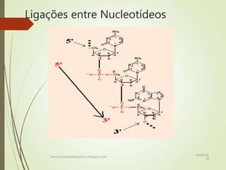 Ligações entre Nucleotídeos
www.biomaiskatiaqueiroz.blogspot.com
18/08/20
19
 