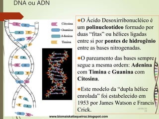 DNA ou ADN
O Ácido Desoxirribonucléico é
um polinucleotídeo formado por
duas “fitas” ou hélices ligadas
entre si por pontes de hidrogênio
entre as bases nitrogenadas.
O pareamento das bases sempre
segue a mesma ordem: Adenina
com Timina e Guanina com
Citosina.
Este modelo da “dupla hélice
enrolada” foi estabelecido em
1953 por James Watson e Francis
Crick.
www.biomaiskatiaqueiroz.blogspot.com
18/08/20
19
 