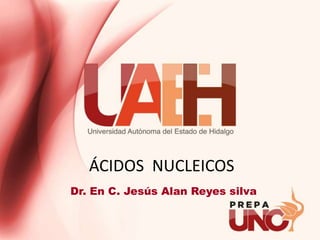 ÁCIDOS NUCLEICOS
Dr. En C. Jesús Alan Reyes silva
 