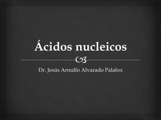 Dr. Jesús Arnulfo Alvarado Palafox
 