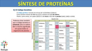 Acidos Nucleicos - Duplicacao do DNA e Sintese Proteica.pdf