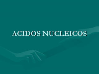 ACIDOS NUCLEICOSACIDOS NUCLEICOS
 