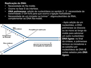 Replicação do DNA:
• Necessidade de fita molde.
• Ocorre na fase S da interfase.
• DNA polimerase: adição de nucleotídeos no sentido 5’. 3’: necessidade de
extremidade 3’-OH livre para que ocorra a ligação fosfodiéster.
• Necessidade de um iniciador ou“primer” : oligonucleotídeo de RNA,
complementar ao DNA fita-molde.
- Após adição de um
nucleotídeo, a DNA
polimerase se dissocia
ou se move ao longo do
molde para adicionar
um outro nucleotídeo:
DNA ligase: no final
da síntese, a polimerase
remove os iniciadores e
os substitui por
nucleotídeos de DNA Æ
cortes selados pela DNA
ligase.
 