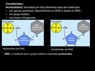 Constituintes:
Nucleotídeos: formados por três diferentes tipos de moléculas:
• um açúcar (pentose): desoxirribose no DNA e ribose no RNA.
• um grupo fosfato.
• uma base nitrogenada.
Nucleotídeo de DNA Nucleotídeo de RNA
OBS.: A molécula sem o grupo fosfato é chamada nucleosídeo.
 