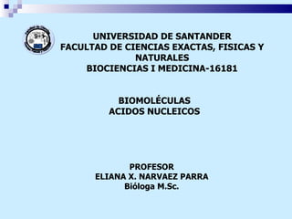 BIOMOLÉCULAS ACIDOS NUCLEICOS PROFESOR ELIANA X. NARVAEZ PARRA Bióloga M.Sc. UNIVERSIDAD DE SANTANDER FACULTAD DE CIENCIAS EXACTAS, FISICAS Y NATURALES BIOCIENCIAS I MEDICINA-16181 Facultad de Ciencias  Exactas Físicas y Naturales UDES 