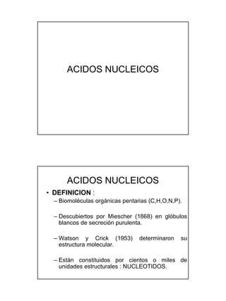 ACIDOS NUCLEICOS




      ACIDOS NUCLEICOS
• DEFINICION :
  – Biomoléculas orgánicas pentarias (C,H,O,N,P).

  – Descubiertos por Miescher (1868) en glóbulos
    blancos de secreción purulenta.

  – Watson y Crick (1953)        determinaron   su
    estructura molecular.

  – Están constituidos por cientos o miles de
    unidades estructurales : NUCLEOTIDOS.
 