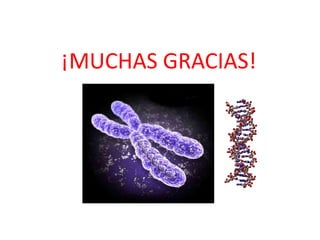 ¡MUCHAS GRACIAS!
 