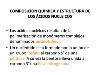 COMPOSICIÓN QUÍMICA Y ESTRUCTURA DE
LOS ÁCIDOS NUCLEICOS
• Los ácidos nucléicos resultan de la
polimerización de monómeros complejos
denominados nucleótidos.
• Un nucleótido está formado por la unión de
un grupo fosfato al carbono 5’ de una
pentosa. A su vez la pentosa lleva unida al
carbono 3’ una base nitrogenada.
 