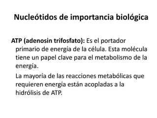 Nucleótidos de importancia biológica
ATP (adenosin trifosfato): Es el portador
primario de energía de la célula. Esta molécula
tiene un papel clave para el metabolismo de la
energía.
La mayoría de las reacciones metabólicas que
requieren energía están acopladas a la
hidrólisis de ATP.
 