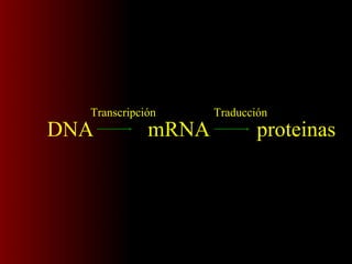 DNA mRNA proteinas
Transcripción Traducción
 