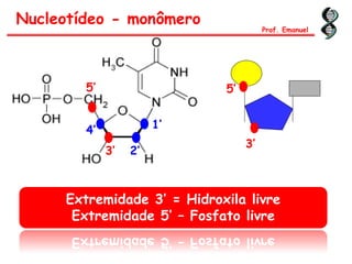 Nucleotídeo - monômero
Prof. Emanuel
1’
2’3’
4’
5’
Extremidade 3’ = Hidroxila livre
Extremidade 5’ – Fosfato livre
5’
3’
 