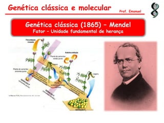 Genética clássica e molecular Prof. Emanuel
Genética clássica (1865) – Mendel
Fator – Unidade fundamental de herança
 